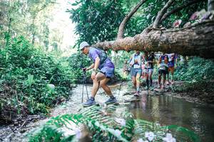 BIB: 
                            <button type="button" onclick="openModal(25444455)" class="btn btn-primary btn-sm float-right btn-popup" data-toggle="modal" data-target=".modal-high-quality">
                        <i class="fas fa-shopping-cart"></i> Add to Cart
                    </button>
                                            <button type="button" onclick="isThisMe(25444455, true)" class="btn btn-success btn-sm float-right btn-popup btn-isme hidden" data-toggle="tooltip" data-placement="bottom" title="นี่คือรูปของคุณใช่ไหม คลิกที่นี่เพื่อเอาเข้าอัลบั้ม">
                        <i class="fas fa-plus"></i> Add to album
                    </button>
                    <button type="button" onclick="isThisMe(25444455, false)" class="btn btn-warning btn-sm float-right btn-popup btn-isnotme hidden">
                        <i class="fas fa-ban"></i> Remove from album
                    </button>